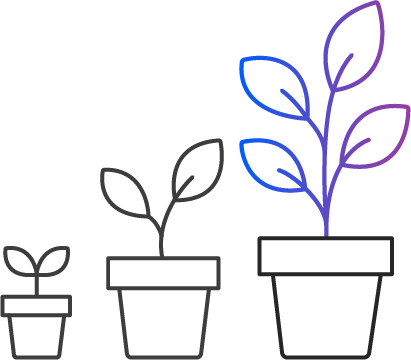 Brand Solutions_Brand Maturity