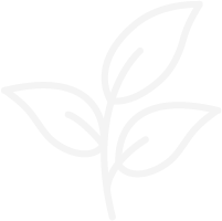 Media Company - Growth