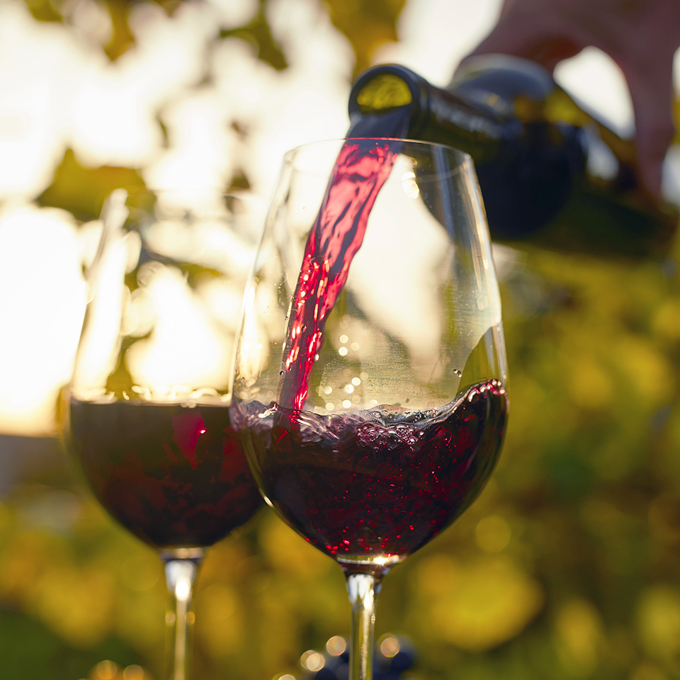 Testimonial_Josh_Cellars (1)